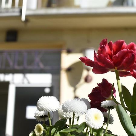 Готель Haus Sonneck Marburg Екстер'єр фото
